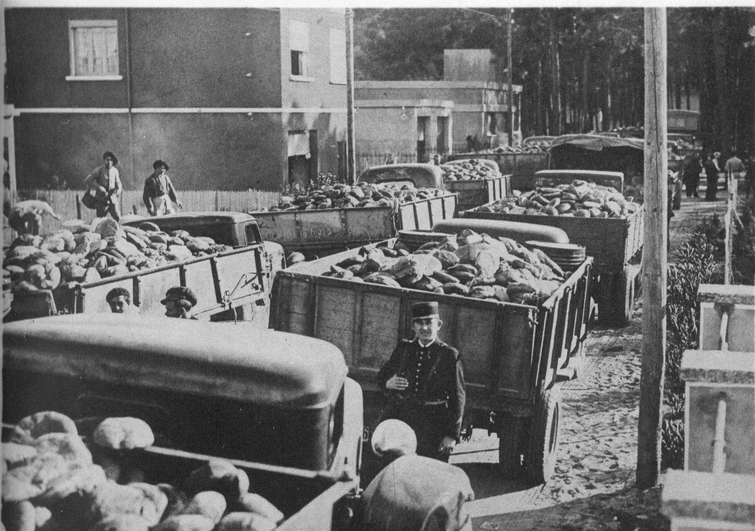 Repartiment de pa al camp de concentració d'Argelers